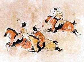 关于中风榴一国章下的军事事务,深度解析与探讨,深度解析与探讨,中风榴一国章下的军事事务