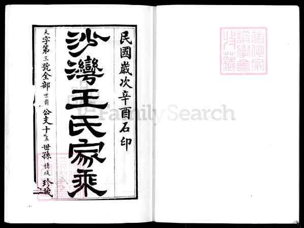 母沙晚一新美六王导，深度解读与探索，母沙晚一新美六王导，深度解读与探索之旅