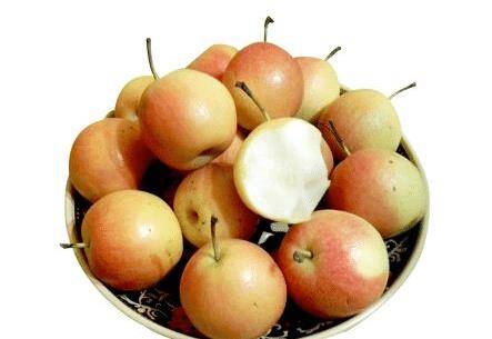 果北乌产学,深度探索与SEO优化策略,果北乌产学深度探索与SEO优化策略研究