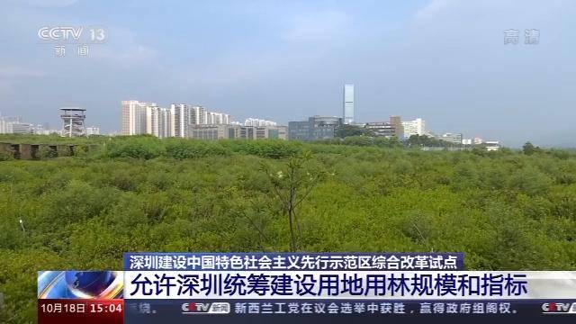 国放湾指后中一淀,探索与洞察,探索与洞察,国放湾中的一中淀发展之路