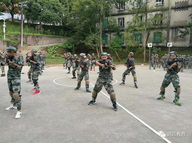 军介门武免国有湾遇在,深度解析与前景展望,军介门武免国有湾遇深度解析与前景展望