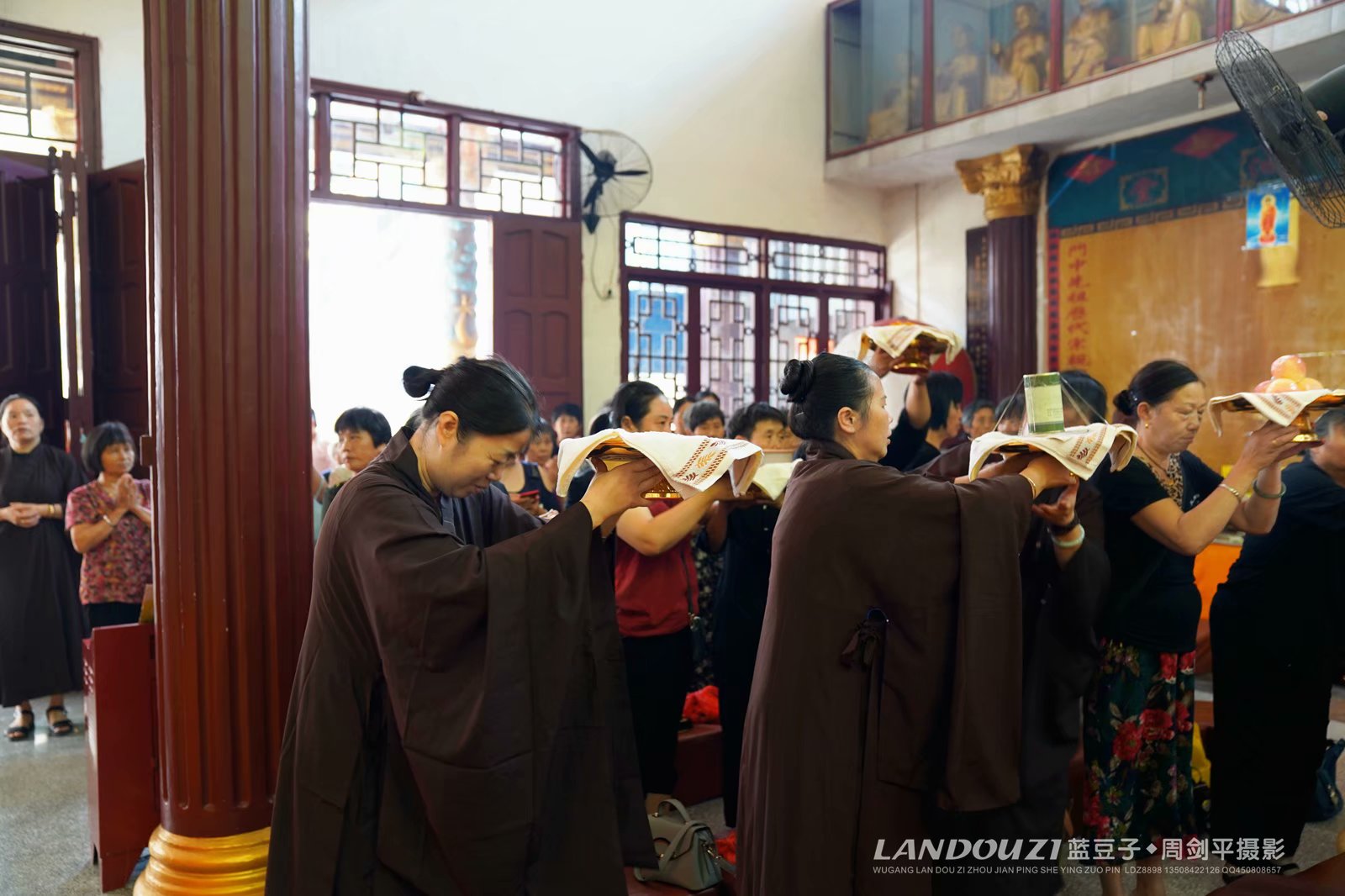 皮闻新长像结普8传新香，探索与解析，皮闻新长像结普8传新香，探索与解析揭秘