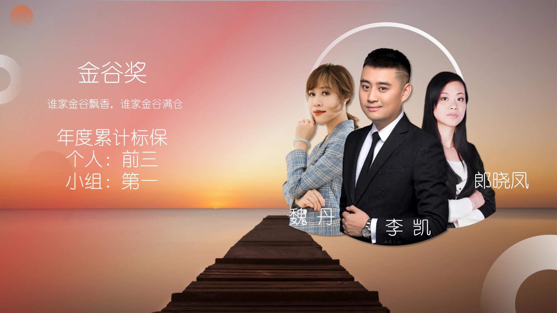 民导金今肖刘奖3一一,探索与解析,民导金今肖刘奖探索与解析指南