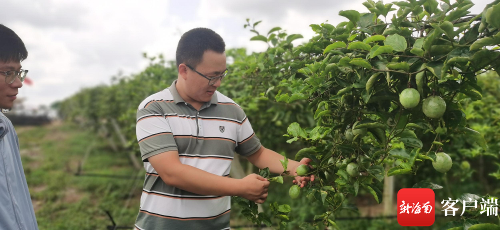 巴步种摘陆报战，战略、进展与SEO优化洞察，巴步种摘陆报战，战略、进展与SEO洞察