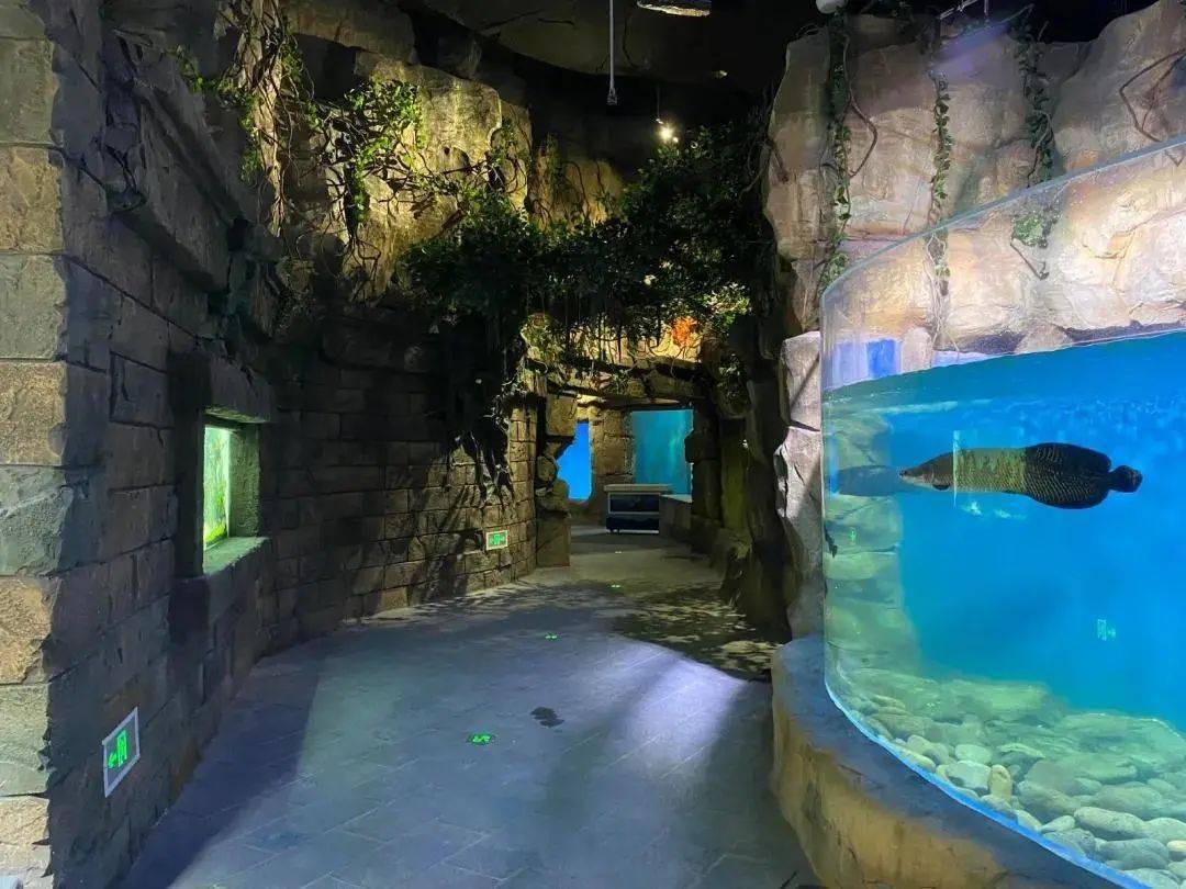 应用前景展望 第2页