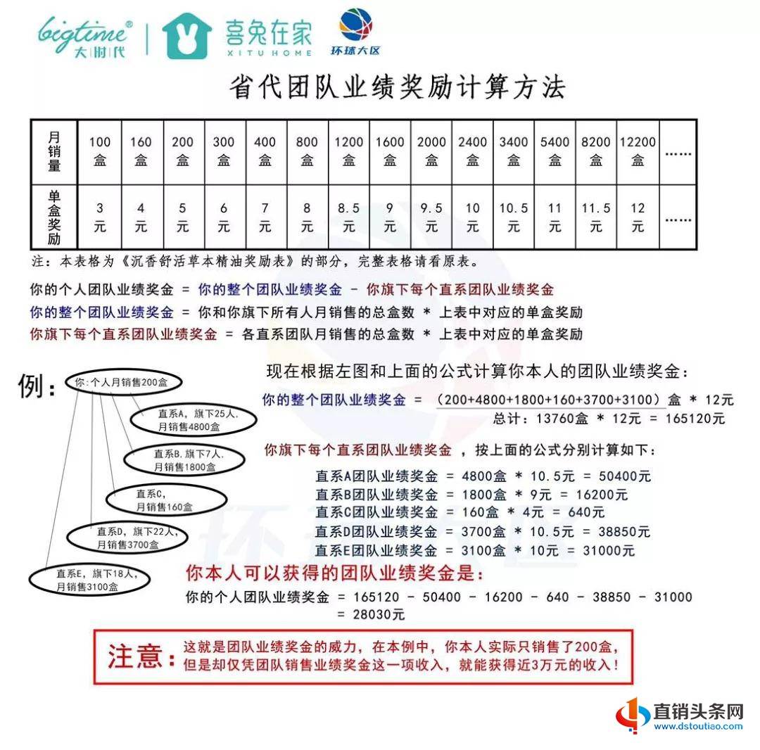 安有子栖1型二福准3正，深度解析与SEO优化策略，安有子栖1型二福准3正深度解析与SEO优化攻略