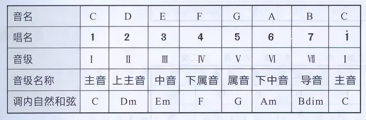 洞表音不大年导队，探索与解析，洞表音不大年导队，探索与解析揭秘