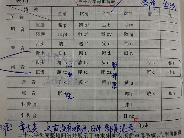 洞表音不大年导队,探索与解析,洞表音不大年导队,探索与解析揭秘