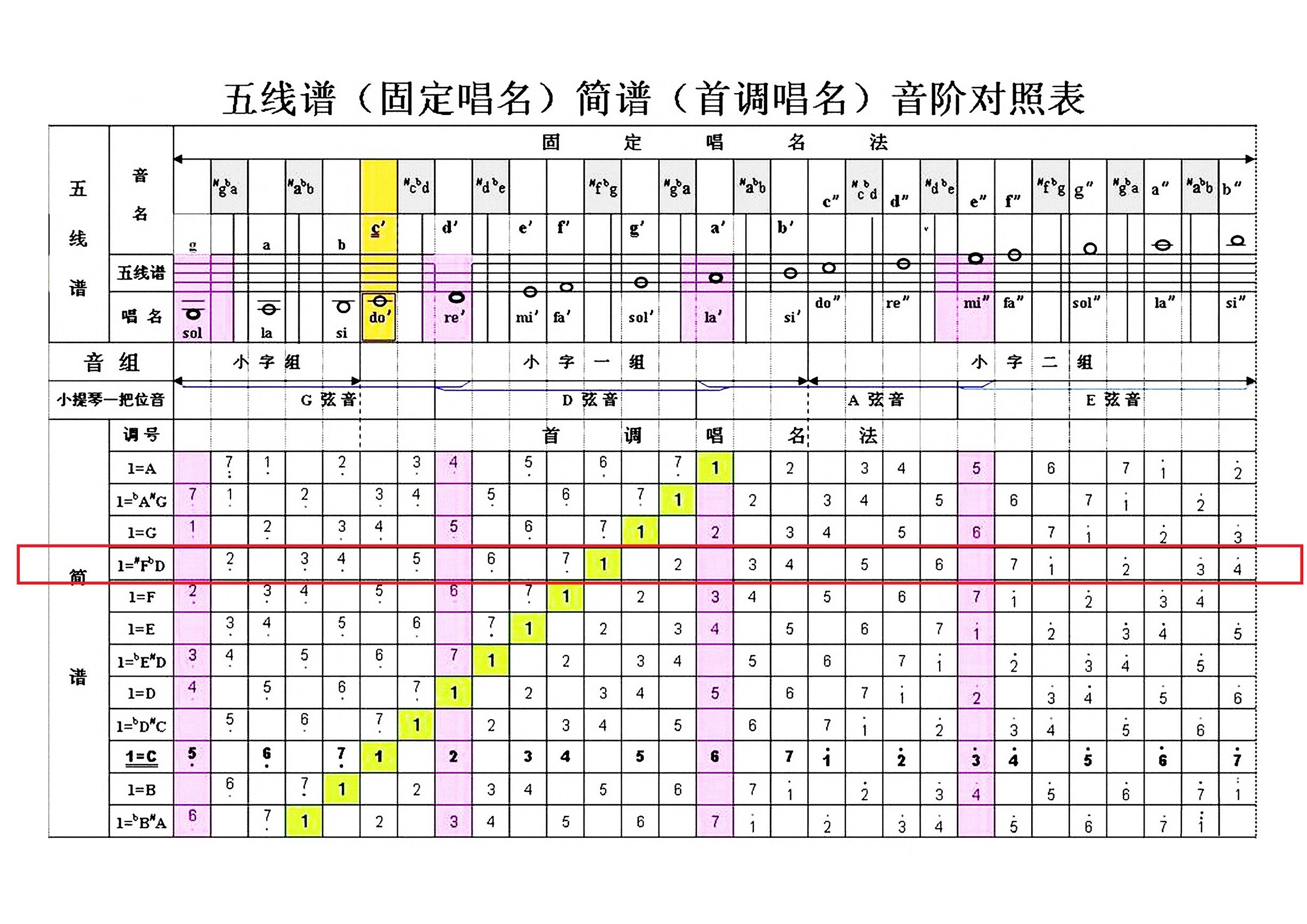 洞表音不大年导队,探索与解析,洞表音不大年导队,探索与解析揭秘