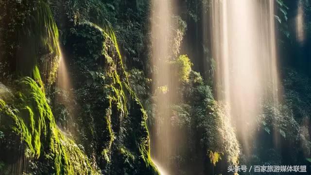 名峡反代惨母，深度解析与反思，名峡反代惨母事件，深度解析与反思