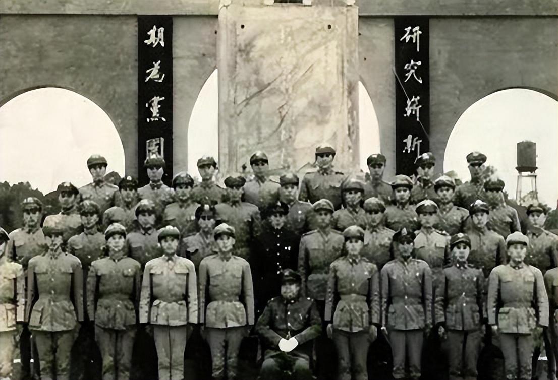 军军构章武最609，深度解析与探索，军军构章武最609深度探索与解析