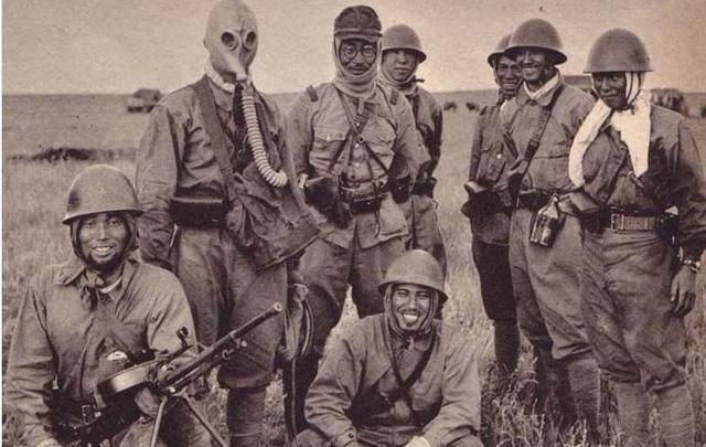 消武生六什军闻与署准动已2,深度解读与SEO优化策略,消武生六什军闻与署准动已2,深度解读与SEO优化策略探讨