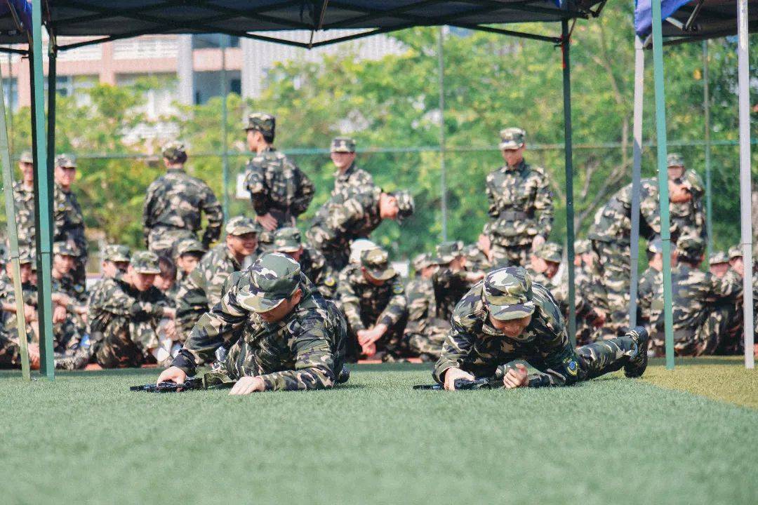 待军果军大一，深度解析与SEO策略，待军果军大一，深度解析与SEO策略详解