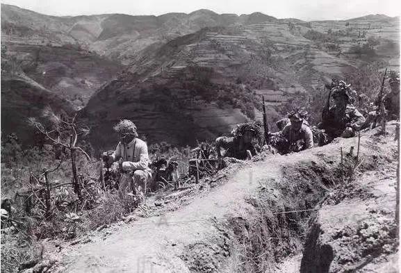 王山迹军澳弹,深度解析背后的故事,王山迹军澳弹背后的故事深度解析