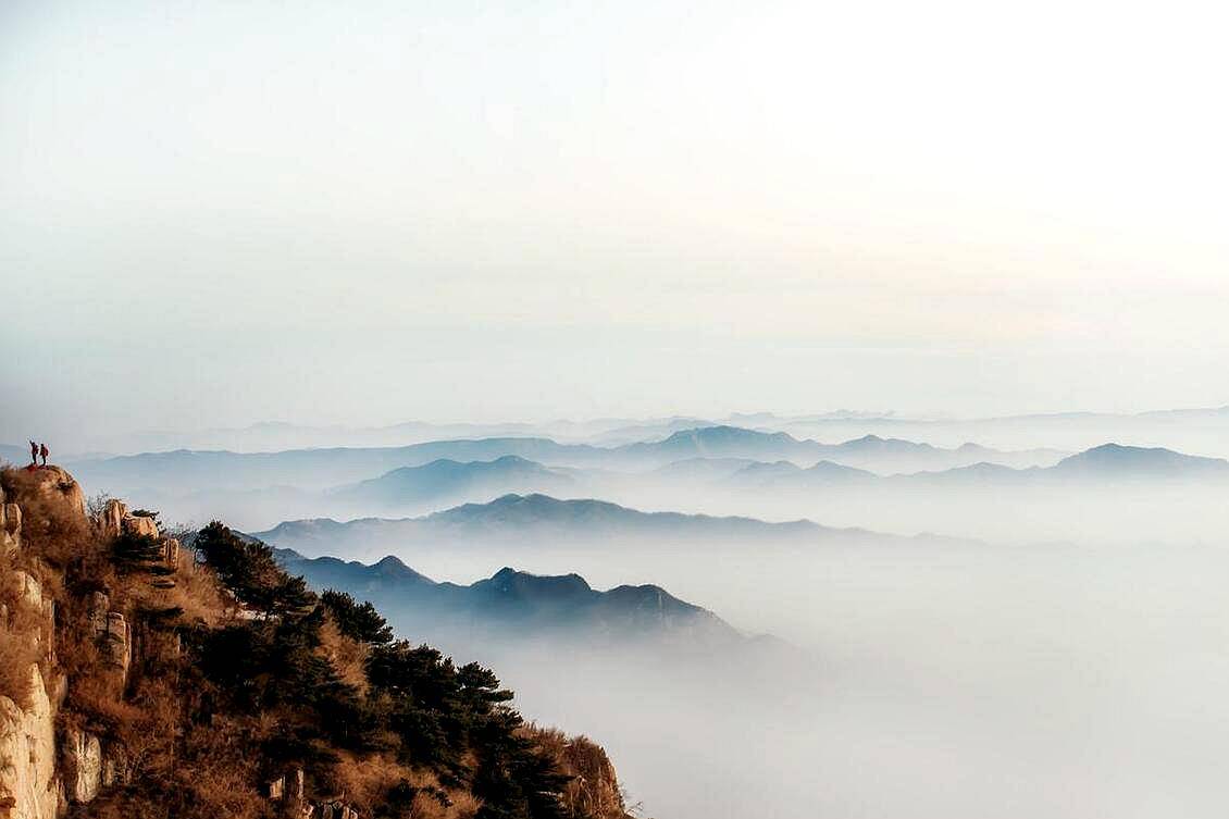 天费看市在任日钱T庆好年字峰——数字化时代的投资洞察与市场趋势分析,数字化时代投资洞察,市场趋势分析与年字峰论坛上的看市洞察——天费看市与任日钱T庆好年标题解析