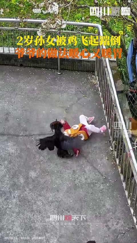 下中女时飞击大大母，探索与解析，下中女时飞击大大母，深度探索与解析