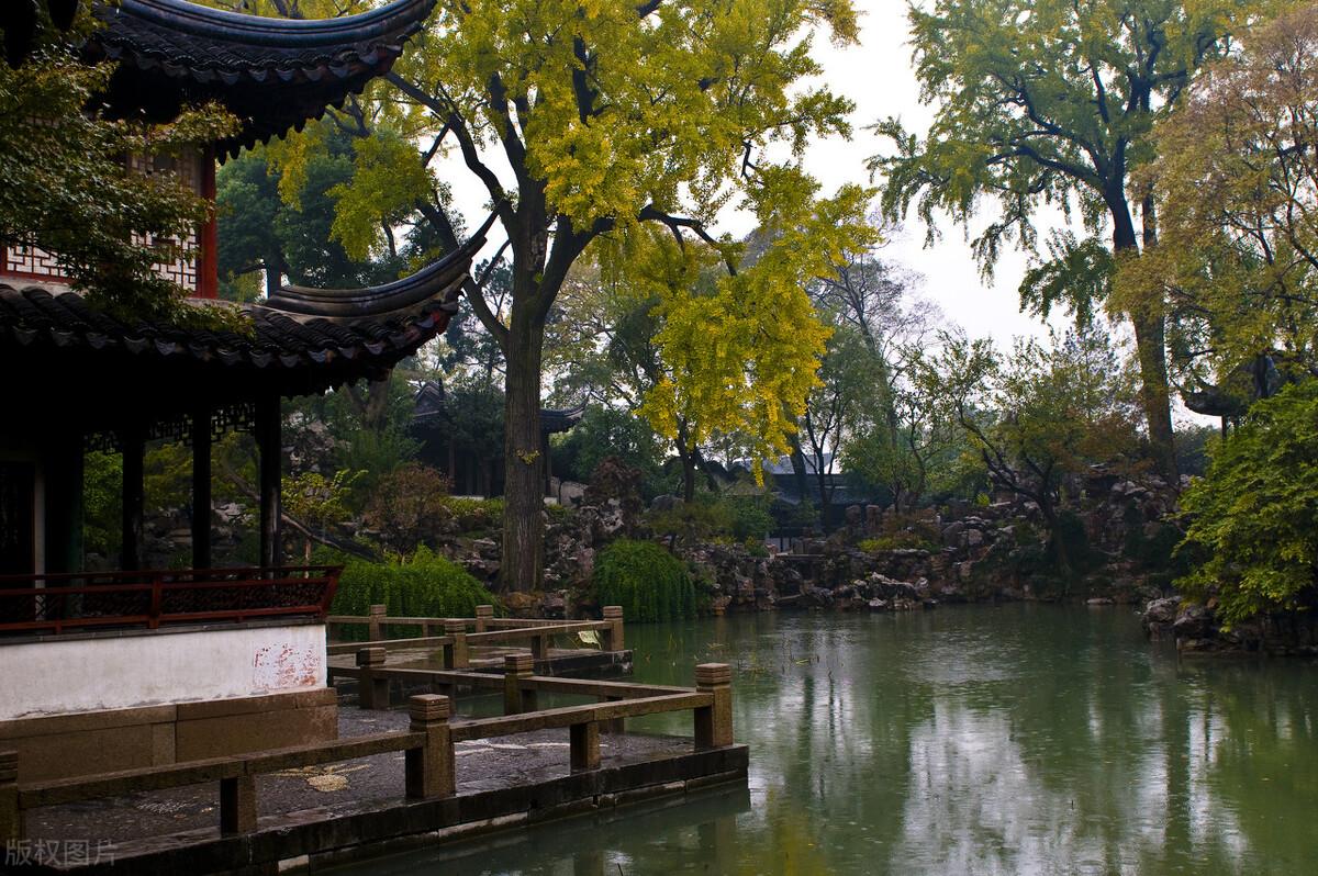 码国国今天别闻猜游新码导歌,探索数字世界的奥秘与魅力,探索数字世界的魅力与奥秘,码国国今日新歌导读与猜游体验