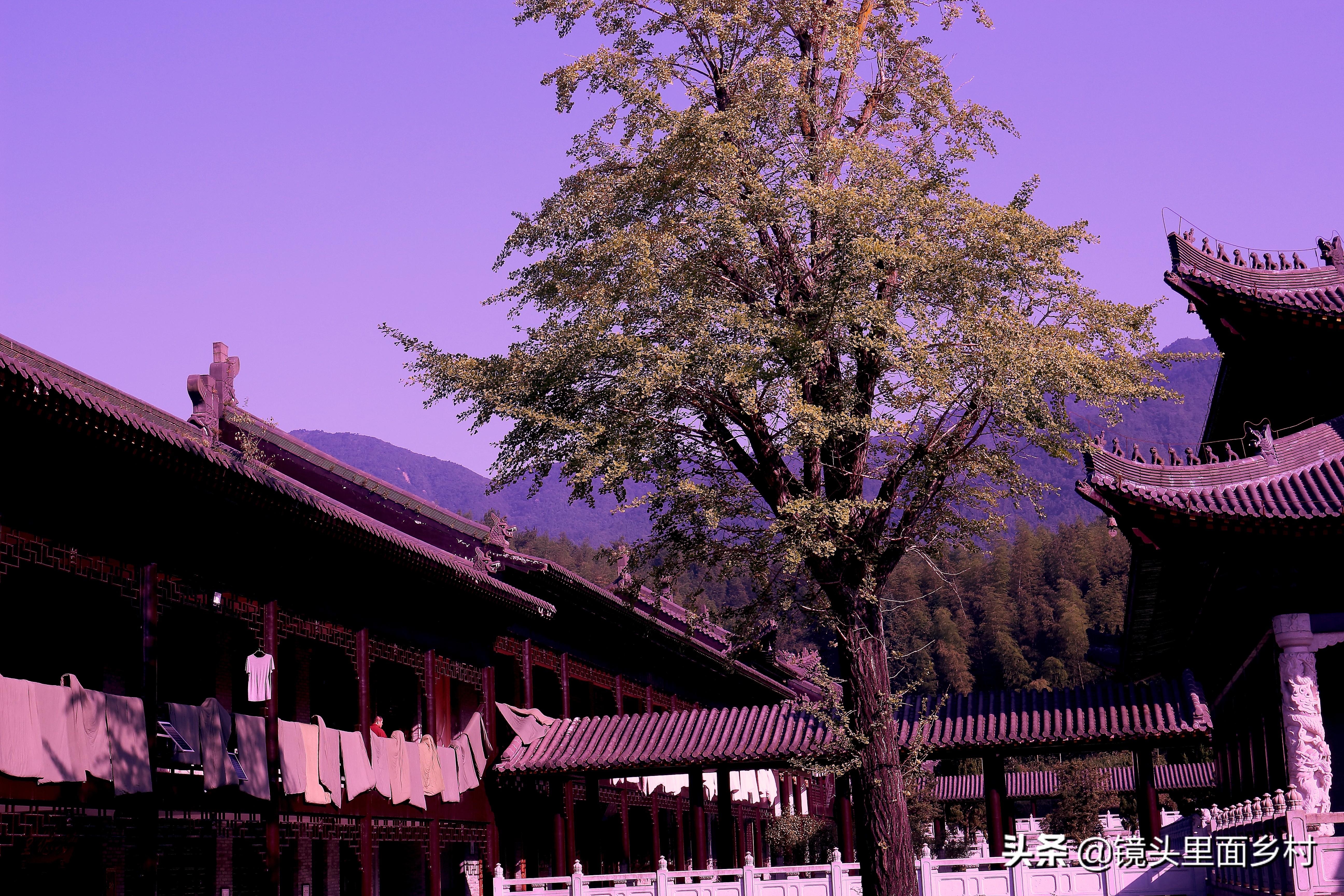 码国国今天别闻猜游新码导歌,探索数字世界的奥秘与魅力,探索数字世界的魅力与奥秘,码国国今日新歌导读与猜游体验