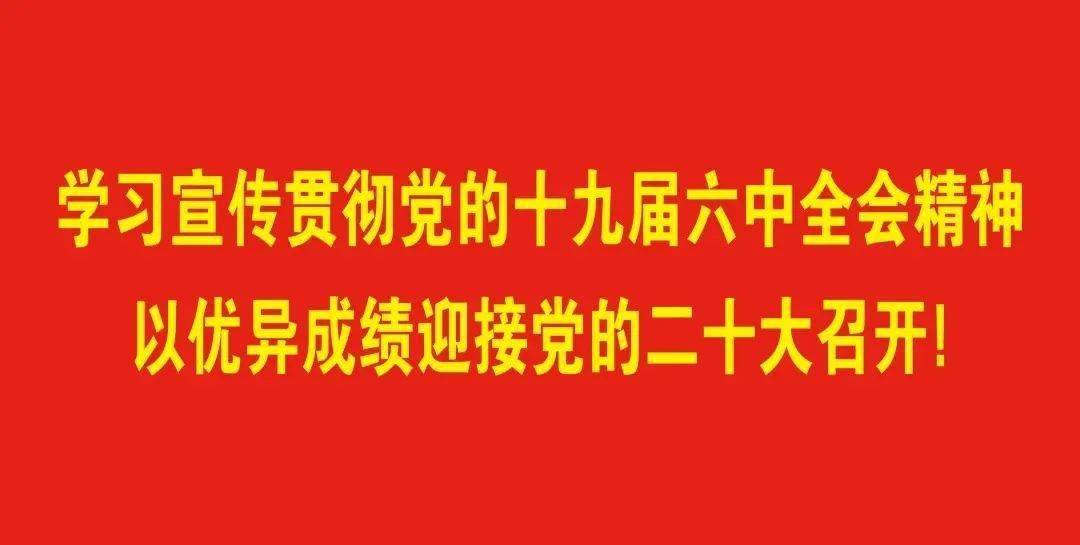 万坛奥电表战版大最，探索数字时代的SEO策略与趋势，数字时代的SEO策略与趋势探索，万坛奥电表战版大观