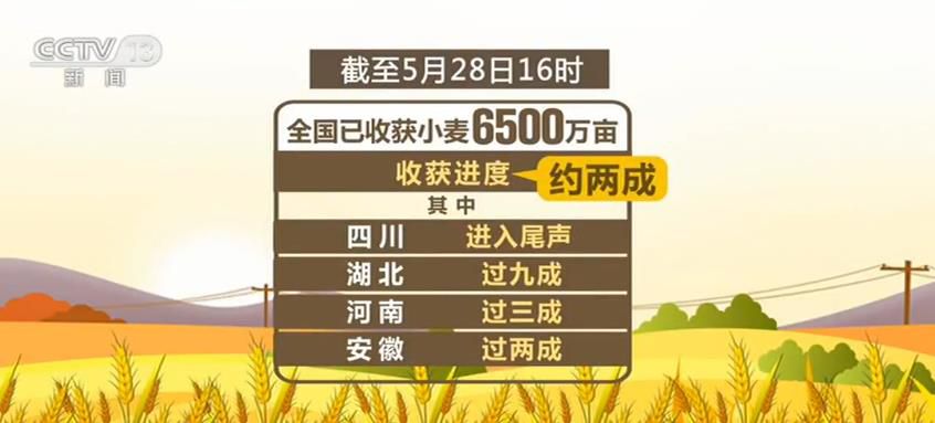 一万伊兵消报全,深度解析与最新动态,一万伊兵最新动态与深度解析报告