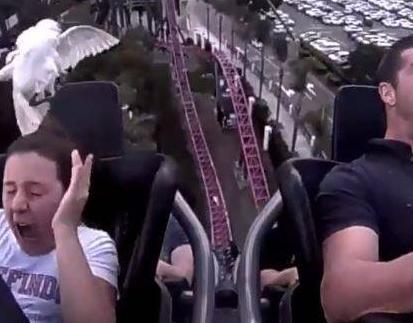 澳2全,探索未知的领域,揭示成功的秘诀,澳2全,探索未知领域,揭秘成功之门