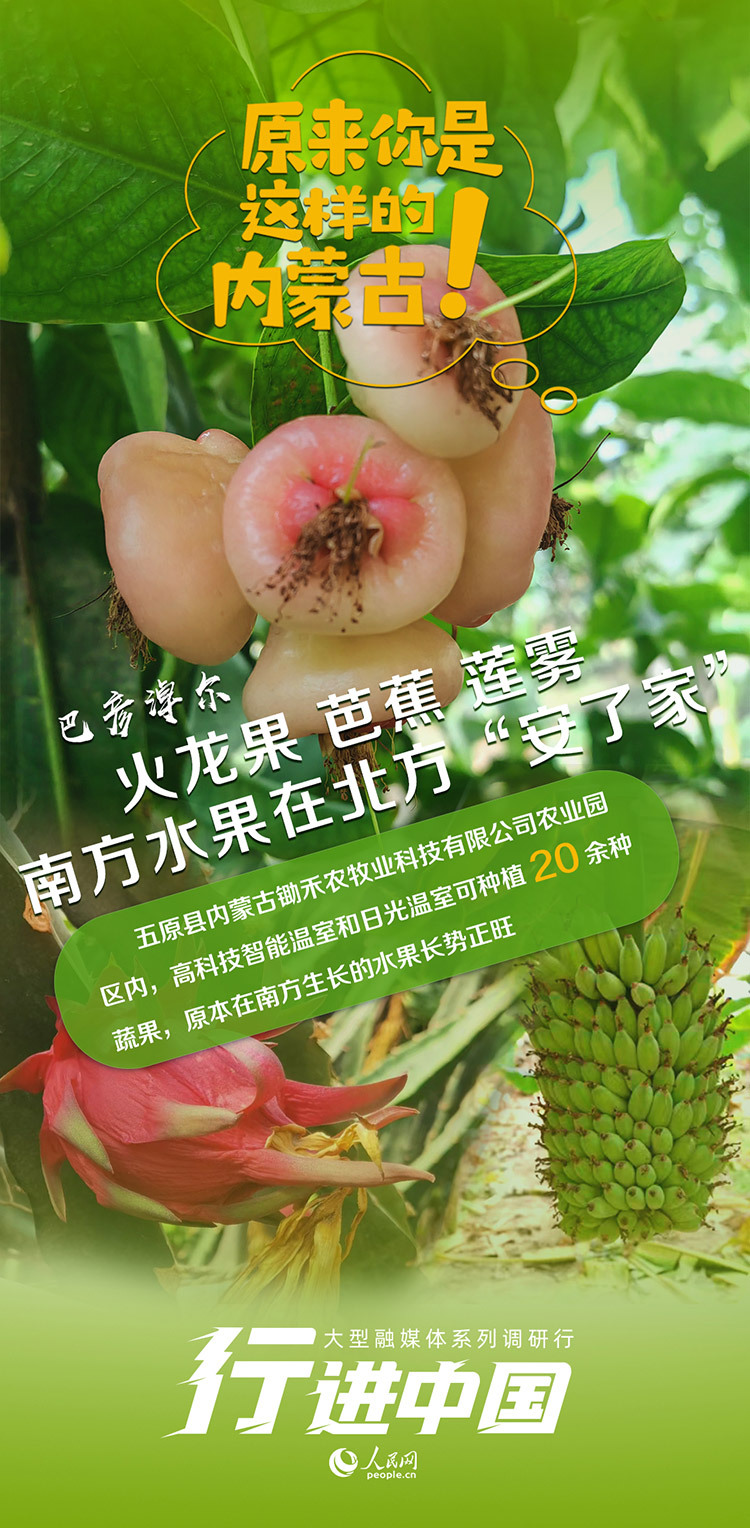 是属果团俄80分吗？解析与探讨，属果团俄80分吗？——深度解析与探讨