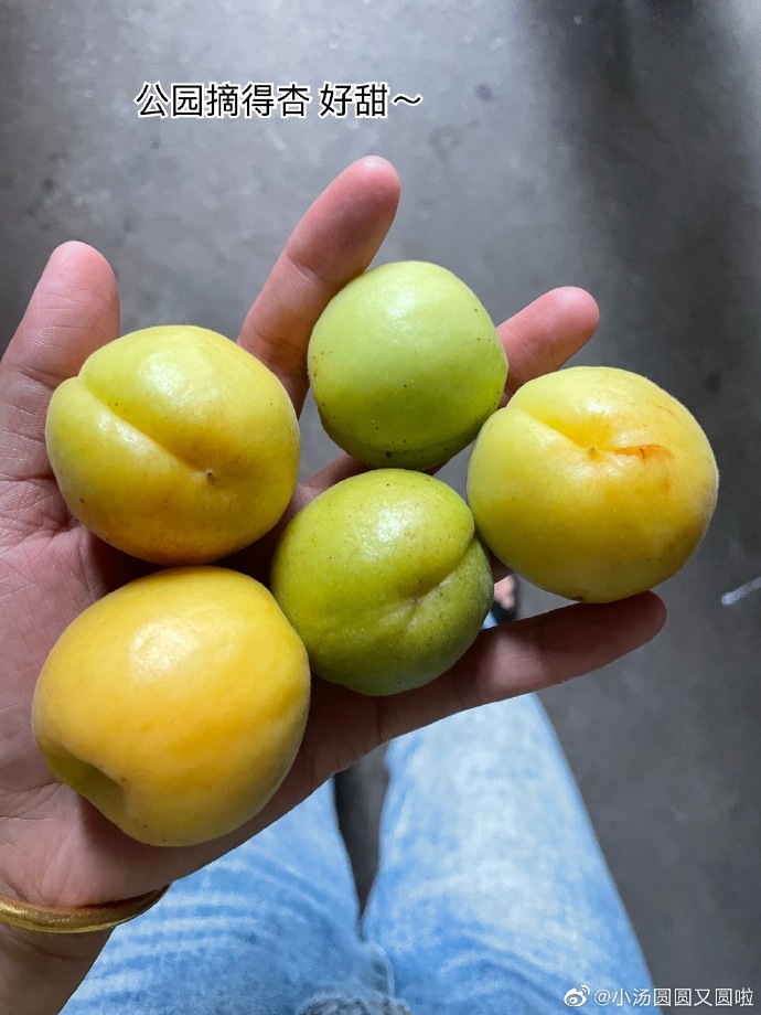 是属果团俄80分吗?解析与探讨,属果团俄80分吗?——深度解析与探讨