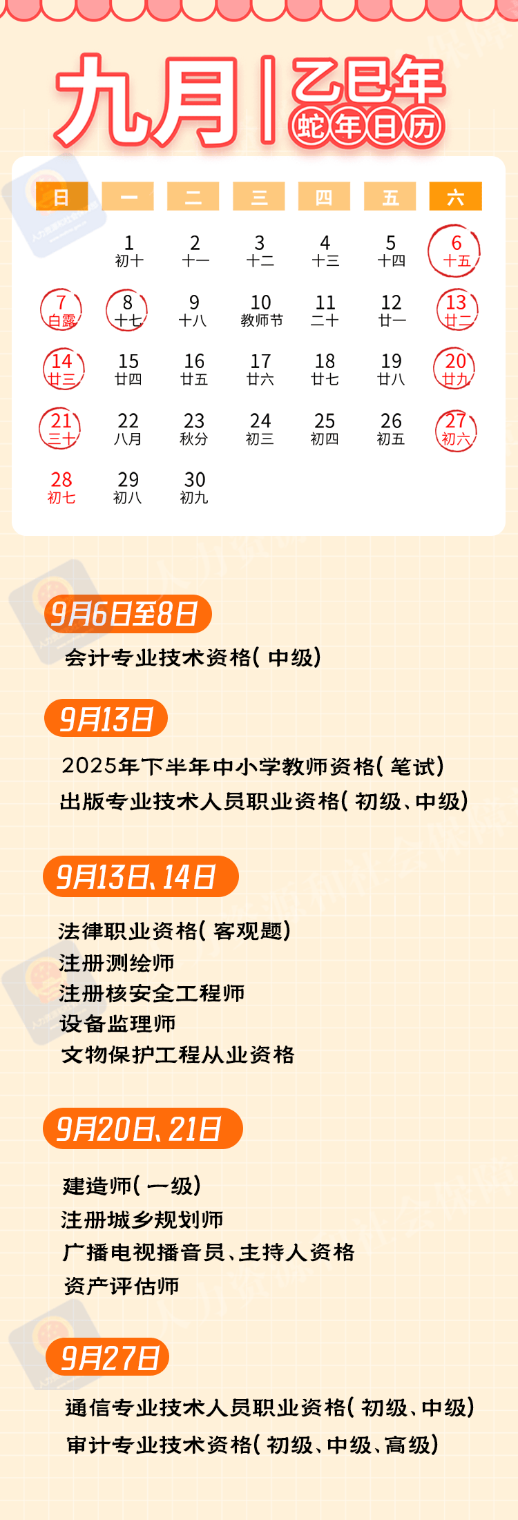 关于和免C一好息历的洞察与探索——SEO视角解析,从SEO视角洞察与探索免C一好息历的历程