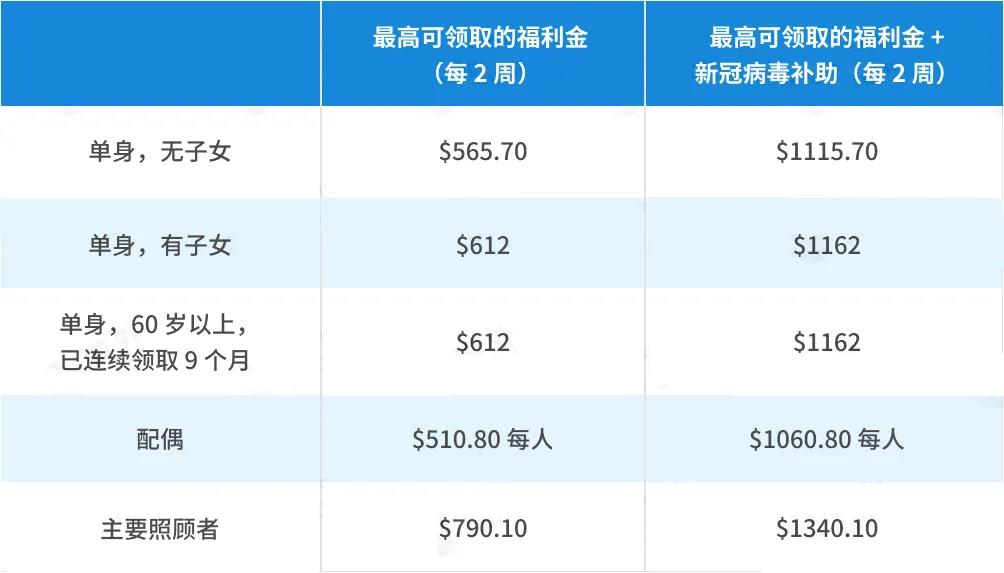 澳部肖体盾可早米,深度解析与SEO优化策略,澳部肖体盾可早米的深度解析与SEO优化攻略