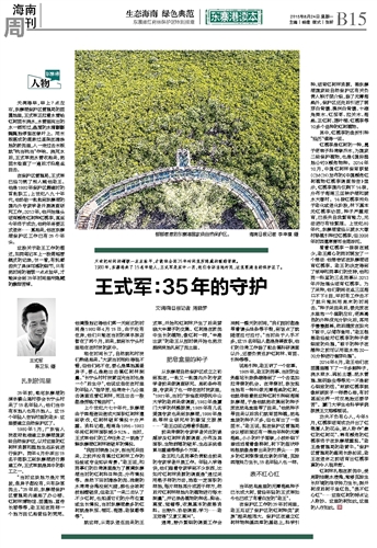 王伊备最三k家武军，深度解析与探索，王伊备与三家武军，深度解析与探索