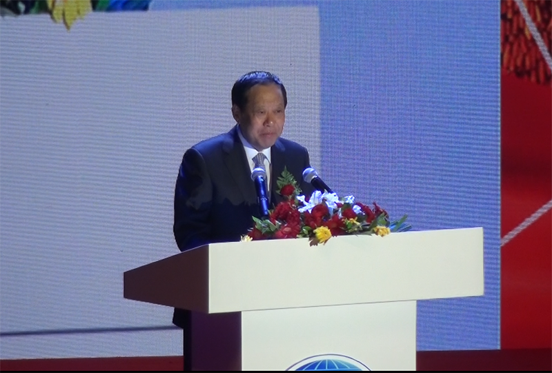 四王中肖型新日牌人人，探索与解析，四王中的肖型新日牌，深度探索与解析