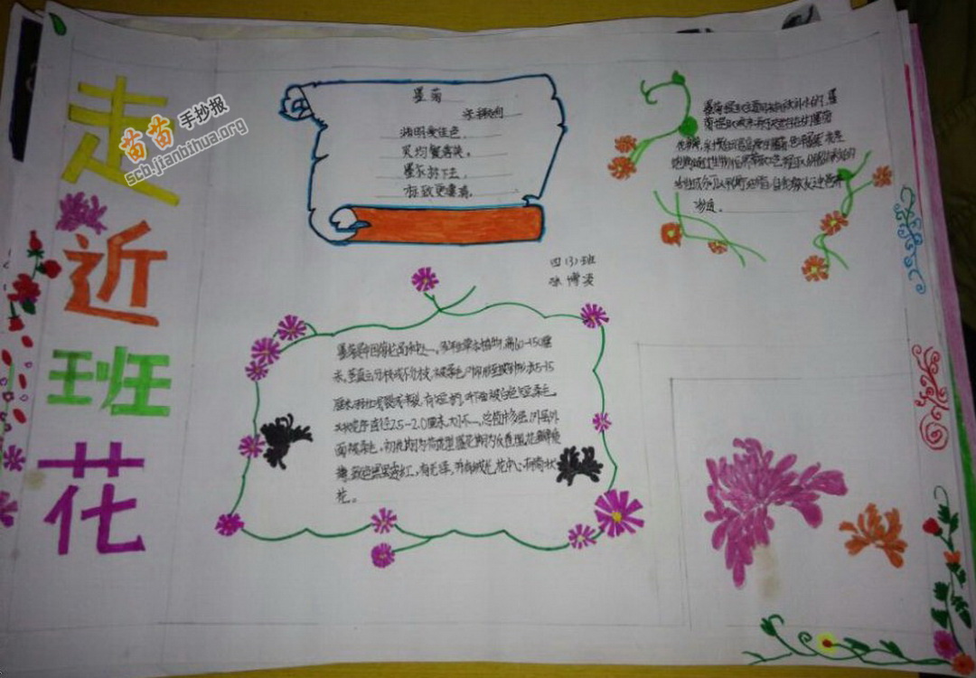 大5小2导抄,探索与实践中的SEO优化策略,探索与实践中的SEO优化策略导抄,大5小2标题
