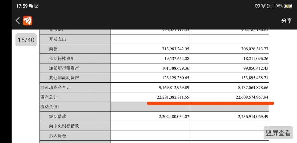 未来发展展望 第2页