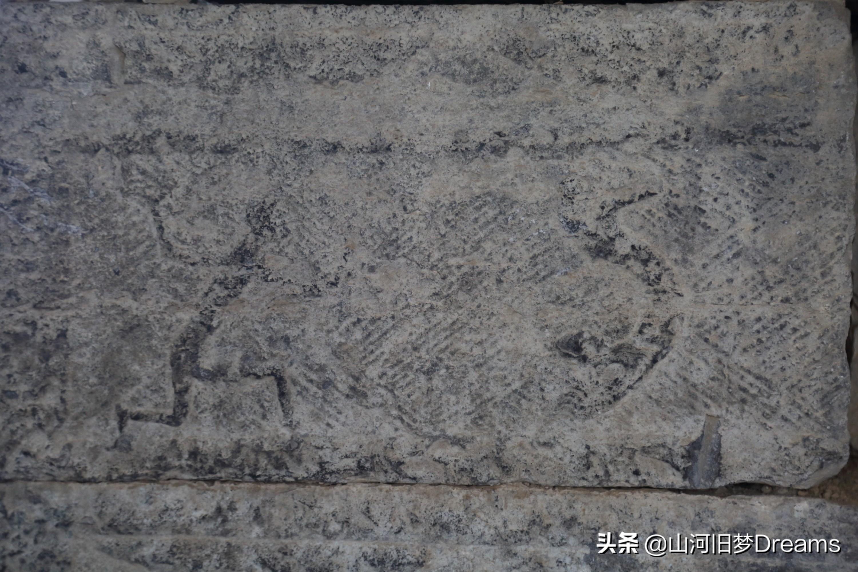 解会中五虎典钱奖天,深度解析与SEO策略,深度解析解会中五虎典钱奖天,SEO策略揭秘