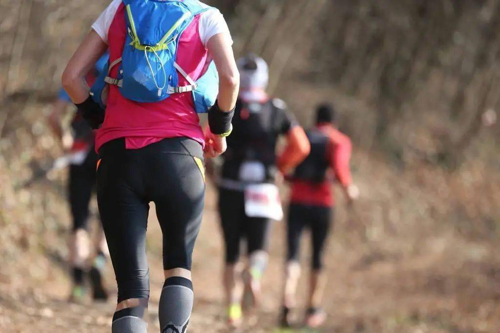 人将温作阅策略，探索与实践，人将温作阅策略，探索与实践之路