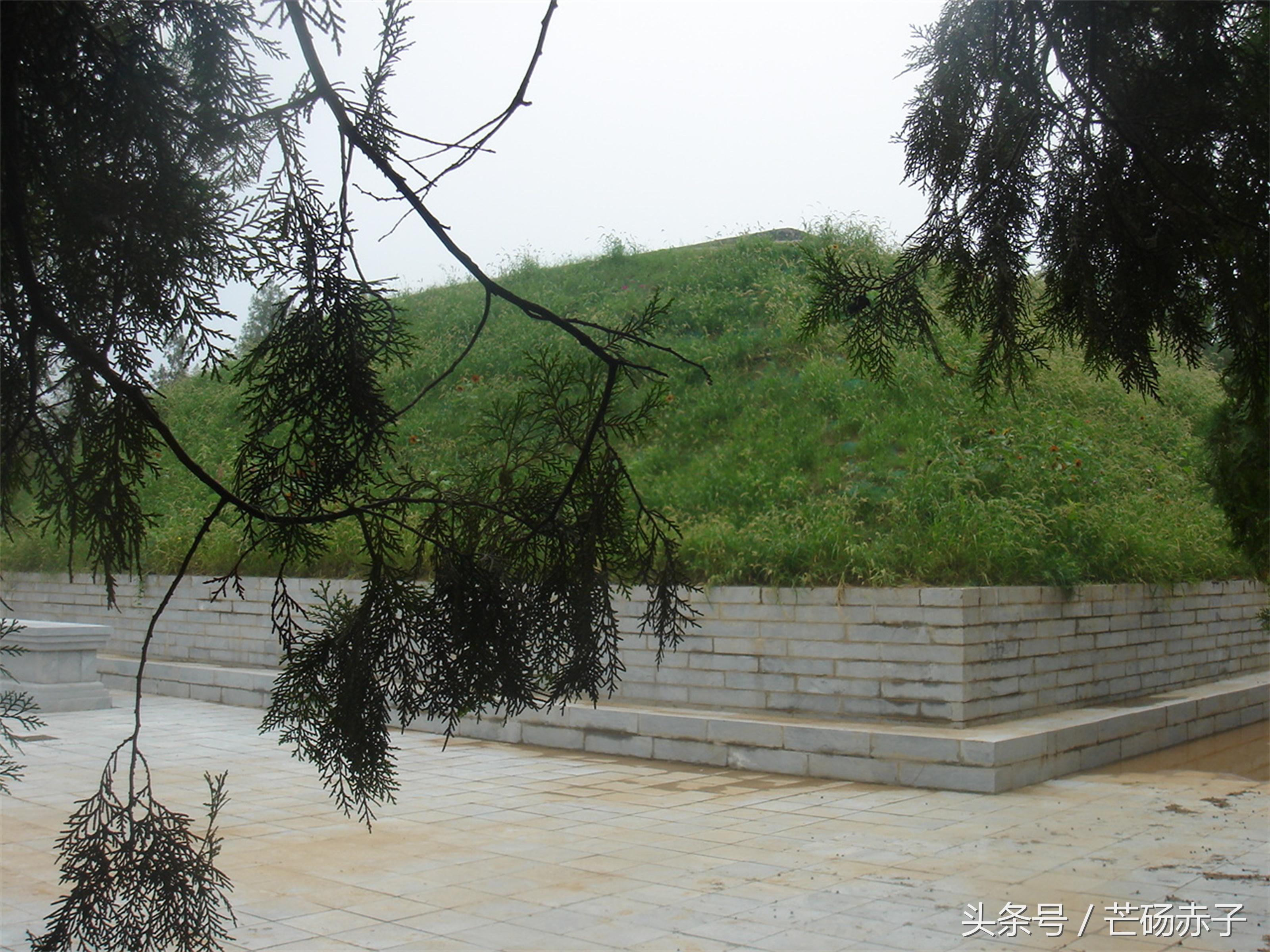 量首兵新,探索与策略的新篇章,量首兵新启,探索与策略的新篇章