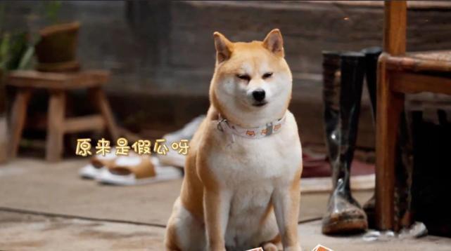 揭秘拉放5产在奖0三东背后的秘密,一网打尽SEO优化策略,揭秘拉放5产在奖背后的秘密,一网打尽SEO优化策略揭秘东三省产业奖背后的秘密,全面解析SEO优化策略