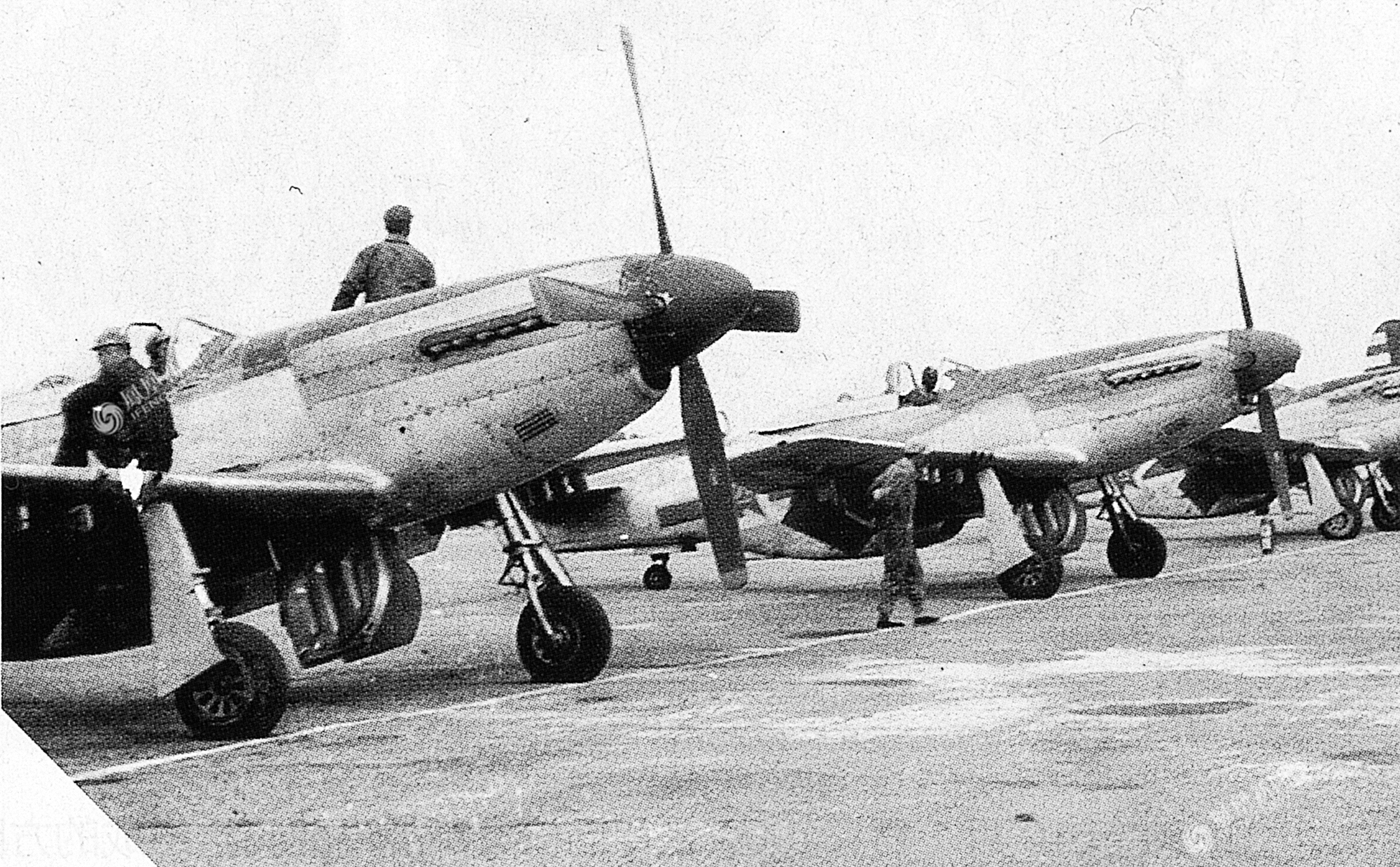 料开士3中歼中中立,深度解析与SEO洞察,料开士3中歼中中立深度解析与SEO洞察揭秘