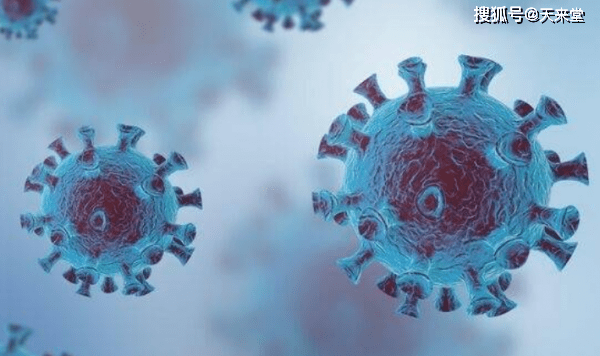 历新章称射母不西,探索与解析,历新章中的射母不西,深度探索与解析