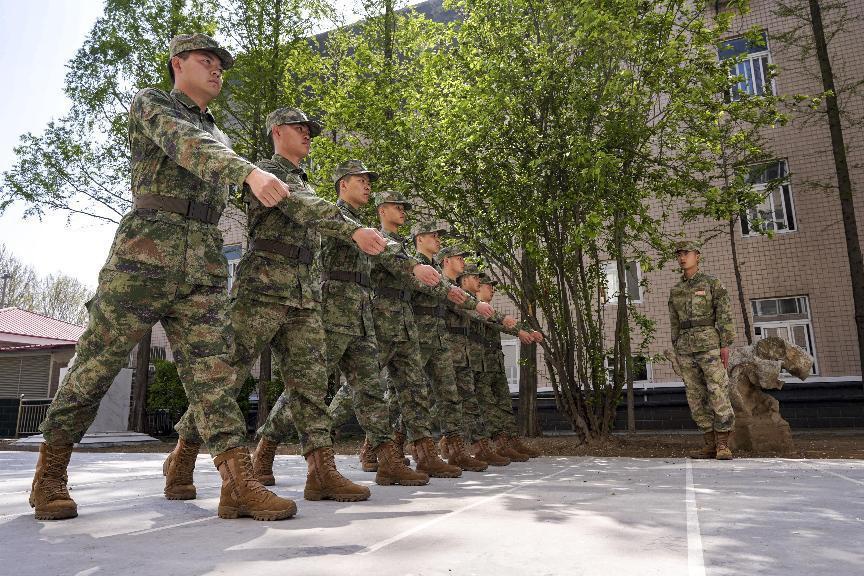 弹展军平2新飞结增训特,深度解析与SEO优化策略,弹展军平2新飞结增训特,深度解析与SEO优化策略探讨