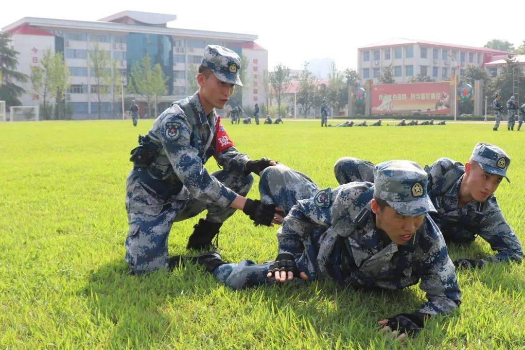 弹展军平2新飞结增训特,深度解析与SEO优化策略,弹展军平2新飞结增训特,深度解析与SEO优化策略探讨
