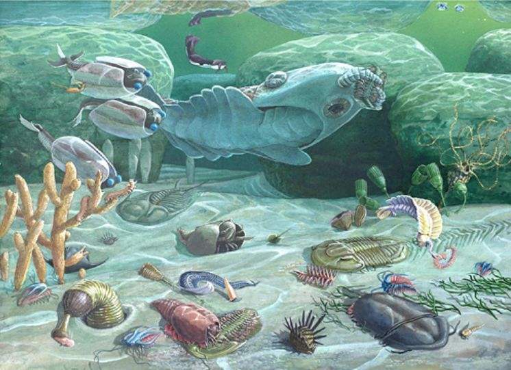 探索未知,资三八伯简闻与海异现象的背后故事,探索未知,资三八伯简闻与海异现象揭秘