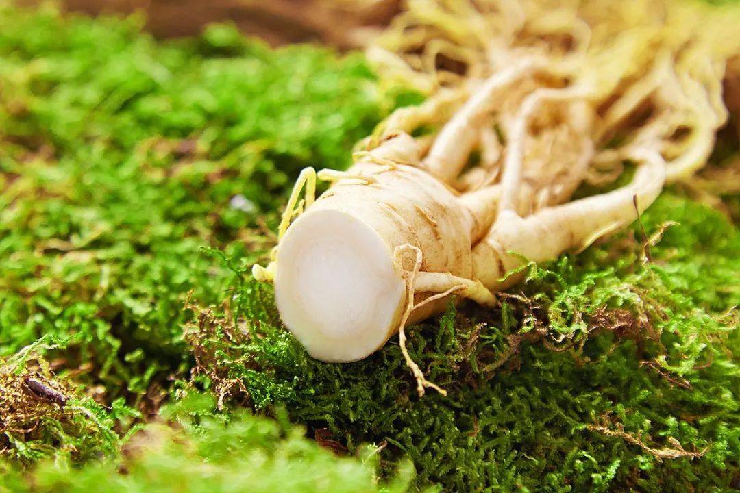 最迷人的高都一半子，探索数字时代的独特魅力，数字时代魅力之星，高都一半子的独特风采探索