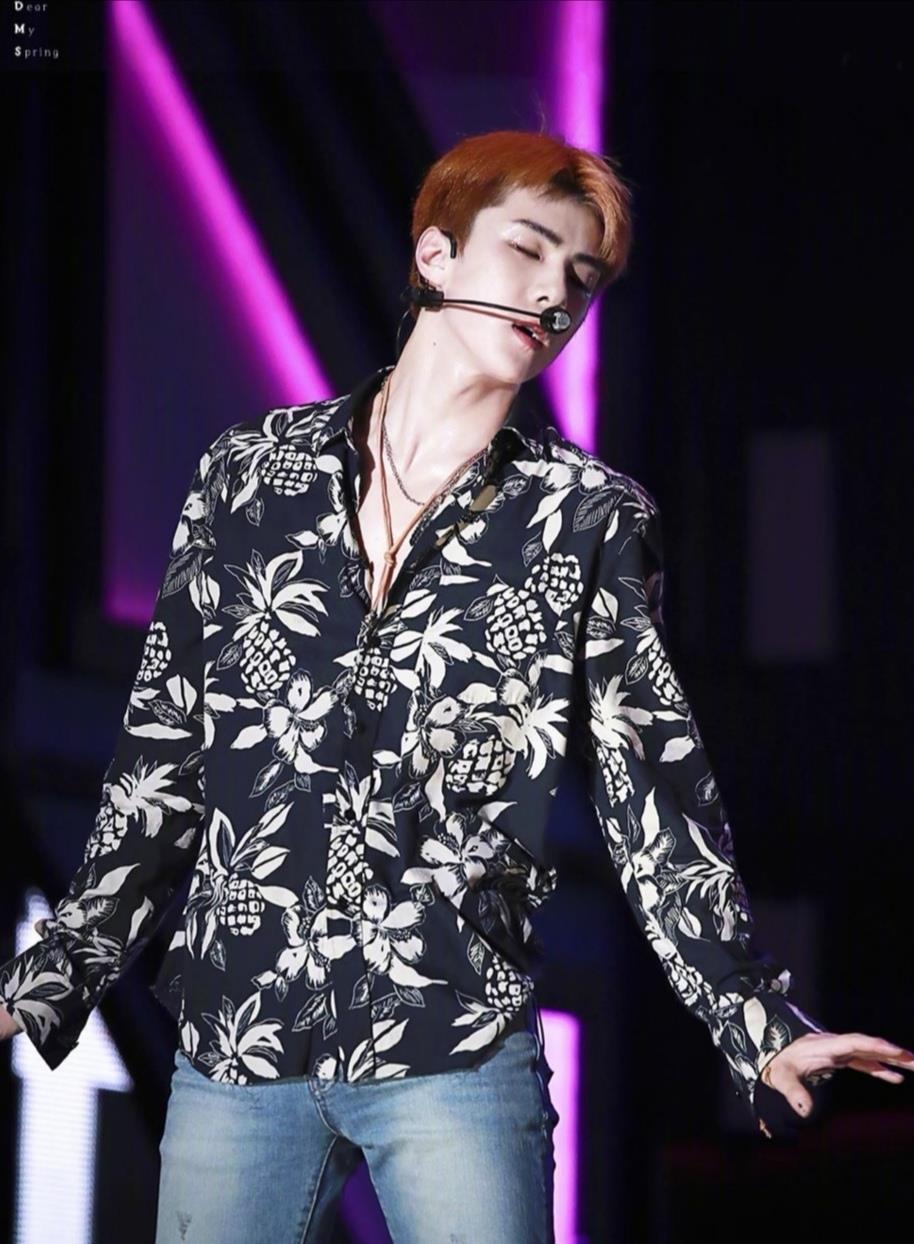 揭秘神秘力量,2析灵版勋神闻探秘,揭秘神秘力量,勋神探秘之灵版揭秘