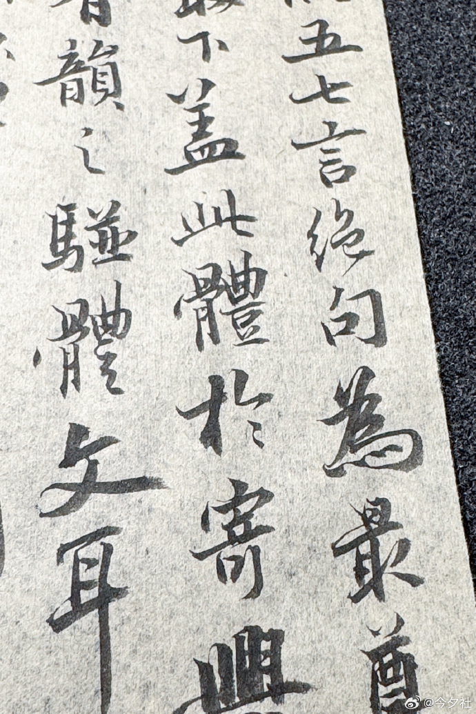 章部播息鹰免为女，探索与发现，章部播息鹰免探索与发现之旅