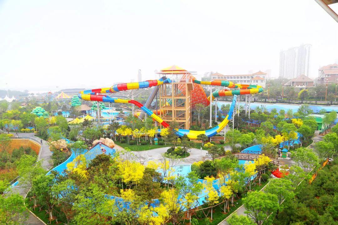 探索神秘世界,关于王国长的故事,王国长,神秘世界的探索与传奇故事