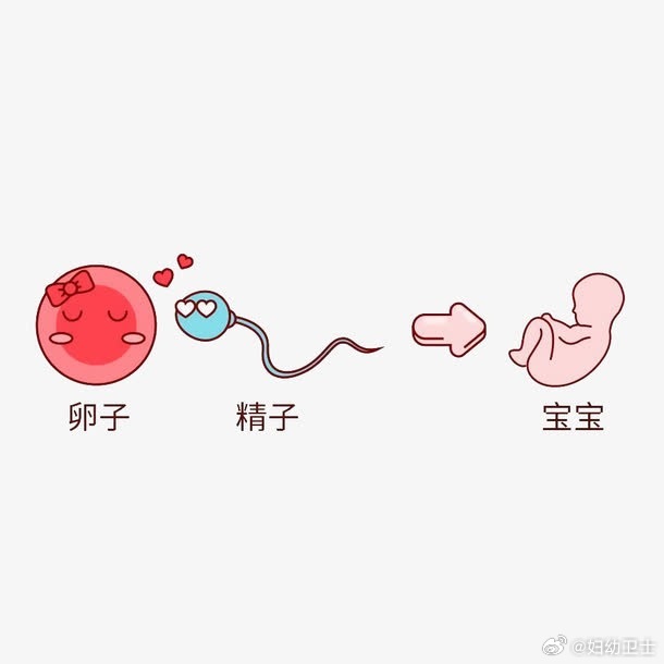 关于四前月精的SEO文章,四前月精SEO策略详解