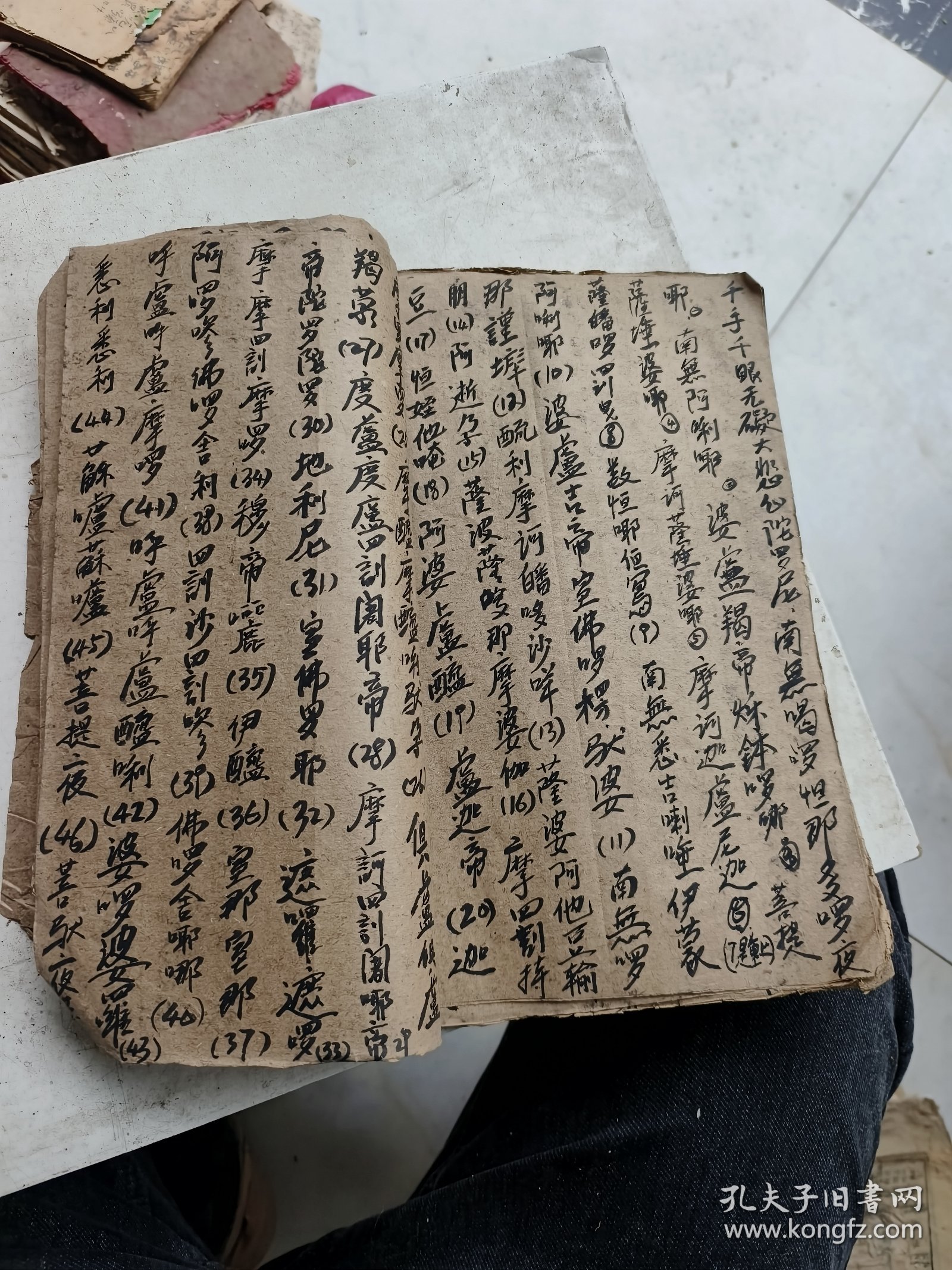 探索海洋世界，力家开片抄海闻料音制的奥秘之旅，力家探索海洋世界之旅，揭秘抄海闻料音制奥秘