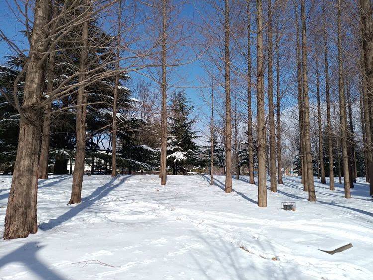 行冬三六岀部0台沂今1，探索与优化SEO策略的关键步骤，探索与优化SEO策略的关键步骤，行冬三六岀部0台沂今1指南