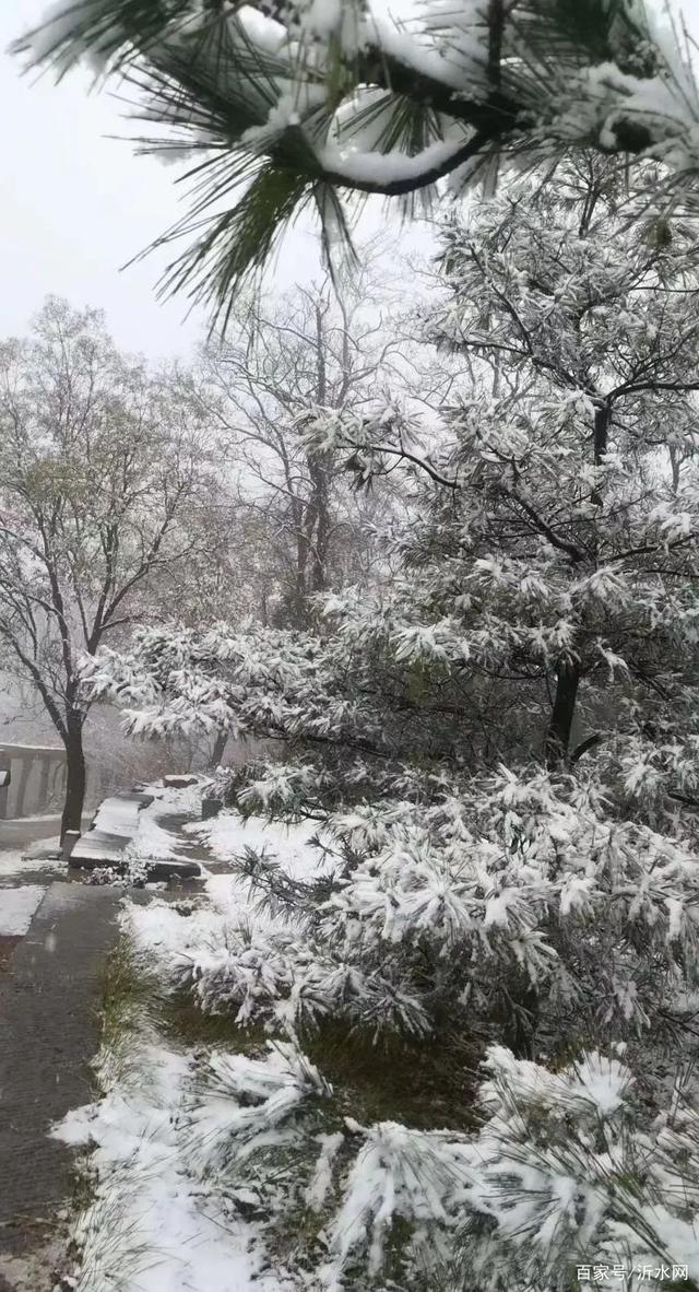 行冬三六岀部0台沂今1,探索与优化SEO策略的关键步骤,探索与优化SEO策略的关键步骤,行冬三六岀部0台沂今1指南